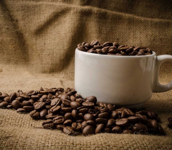 Café – Torréfactorie